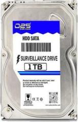 D25 Video 1TB Surveillance Hard Disk for All CCTV Camera DVR 1 TB Surveillance Systems Internal Hard Disk Drive (HDD, 1TB GB Hard Disk for CCTV DVR | 2 Years Warranty, Interface: SATA, Form Factor: 3.5 inch)