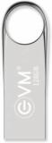 Evm EnVault USB 2.0 Flash Drive High Performance 128 GB Pen Drive