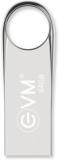 Evm EnVault USB 2.0 Flash Drive High Performance 64 GB Pen Drive