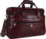 Hammonds Flycatcher 15.6 inch Inch Laptop Messenger Bag