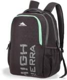 High Sierra By American Tourister HS CANYON BACKPACK LP 01 GREY 26 L Laptop Backpack