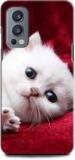 Keycent Back Cover For OnePlus Nord 2 CAT, WHITE CAT, CUTE CATE, LITTILE CAT, BLUE EYES CAT (Shock Proof, Pack Of: 1)