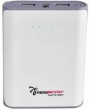 Lappymaster Power Bank Designed For Apple I Phone 4 10400 MAh Power Bank