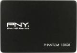 Pny 120 GB Wired External Solid State Drive (External Power Required)