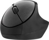 Portronics POR 689 Puck Wireless Optical Mouse (USB)