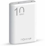 Powerup Stay Charged 10000 MAh Power Bank (Lithium Polymer)