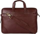 Rover 14 inch Laptop Messenger Bag