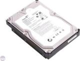 Seagate B005OY5QY2 PIPELINE 500 GB Desktop Internal Hard Disk Drive (HDD, Interface: SATA, Form Factor: 3.5 Inch)