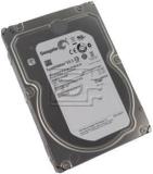 Seagate Segate ST2000NM0033 ES.3 2 TB Desktop Internal Hard Disk Drive (HDD, Interface: SATA, Form Factor: 3.5 Inch)