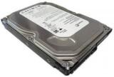 Seagate ST3250310CS Pro 250 GB Desktop Internal Hard Disk Drive (HDD, Interface: SATA, Form Factor: 3.5 Inch)