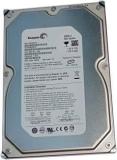 Seagate ST3320SCEP OEM 320 GB Desktop Internal Hard Disk Drive (HDD, Interface: SATA, Form Factor: 3.5 Inch)