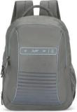 Skybags NETWORKWITH RAIN COVER GREY 34 L Laptop Backpack (RC)