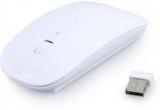 Terabyte TW 023 Wireless Optical Mouse (Bluetooth)