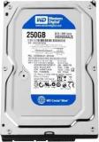 Wd Wd2500ap Cavier Oem 250 GB Desktop Internal Hard Disk Drive