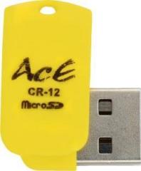 Aaceinlife AcECard reader 12 Card Reader