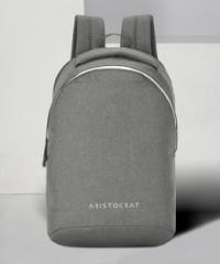 Aristocrat ZEAL LAPTOP BACKPACK GREY 15 L Laptop Backpack