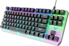 Aula F2067 TKL 100% Anti ghosting Mechanical Gaming Keyboard with 87 keys| Wired USB Gaming Keyboard