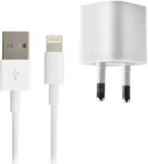 Beingdesi Top Selling High Speed Charger for Iphone 5, 5S, 6, 6S, 6 Plus, 6S Plus, 7, 7 Plus, ipad mini Mobile Charger