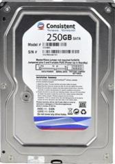 Consistent 250 GB Desktop Internal Hard Disk Drive (HDD, Desktop 250GB Hard Disk, Interface: SATA)