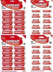 Eveready Combi 20 AA & 20 AAA CZN Batteries Battery (Non Rechargeable)