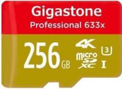 Gigastone g01 256 GB SD Card Class 10 90 Memory Card