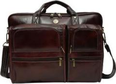 Hammonds Flycatcher 16 inch Laptop Messenger Bag