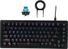 Kreo Hive RGB Gaming Mechanical Keyboard, RGB Keyboards, Braided Cable, led keyboard Wired USB Gaming Keyboard (RGB Backlight)