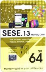 Se 13 SE.13 Premium Series 64 GB MicroSD Card Class 10 100 MB/s Memory Card