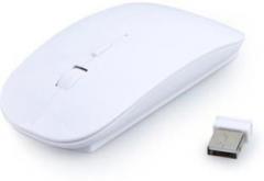 Terabyte TW 023 Wireless Optical Mouse (Bluetooth)