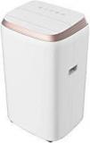 Lloyd 1 Ton LP12B01TP White Portable AC (Copper)