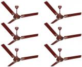 ACTIVA 48 5 Star APSRA DECO Ceiling Fan Brown Pack Of Six