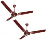 ACTIVA 48 5 Star APSRA DECO Ceiling Fan Brown Pack Of Two