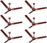 ACTIVA 48 5 Star GALAXY DECO Ceiling Fan Brown Pack Of Six