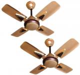 Activa 600 GALAXY 1 Ceiling Fan Golden