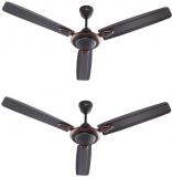 Candes 1200 BreezaB2CC Ceiling Fan Brown