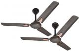 GESTOR 1200 Martin Pack Of 2 Ceiling Fan Brown