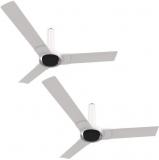 Luminous 1200 MM New York Tiffany Pack Of 2 Ceiling Fan Alice White