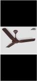 ORIENT ELECTRIC 1200 Orient Jazz Ceiling Fan Black