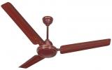 Activa 1200 Mm 5 Star Bold Ceiling Fan Brown