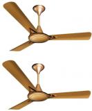 Crompton 1200 Avancer Prime Anti Dust CeilingFan Cocoa Gold