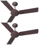 Havells 1200 Enticer Ceiling Fan Brown Copper