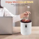 Evrum Air Purifying Natural For Car Rooms Home Portable Room Air Purifier Portable Room Air Purifier