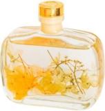 The June Shop French Vase Reed Diffuser Natural Fragrance For A Tranquil Atmosphere Breezy Portable Room Air Purifier