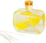 The June Shop French Vase Reed Diffuser Natural Fragrance For A Tranquil Atmosphere Wild Portable Room Air Purifier