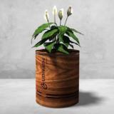 Ubreathe Wooden Room Air Purifier Planter Portable Room Air Purifier