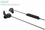 F&D EW202 In Ear Wireless Earphones With Mic