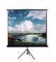 INLIGHT Tripod Type Projector Screen Size: 4 Ft. X 4 Ft. In Imported High Gain Fabric With 1.2 Gain