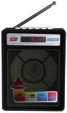 Landmark LM DS105/106FM FM Radio Players