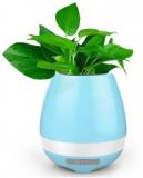 SMART MUSIC FLOWERPOT K3 MP3 Players