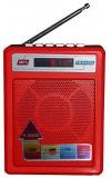 Sonilex SL BS990FM FM Radio Players